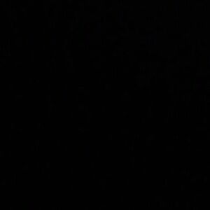 NOTHING DO NOT OFFER!!!